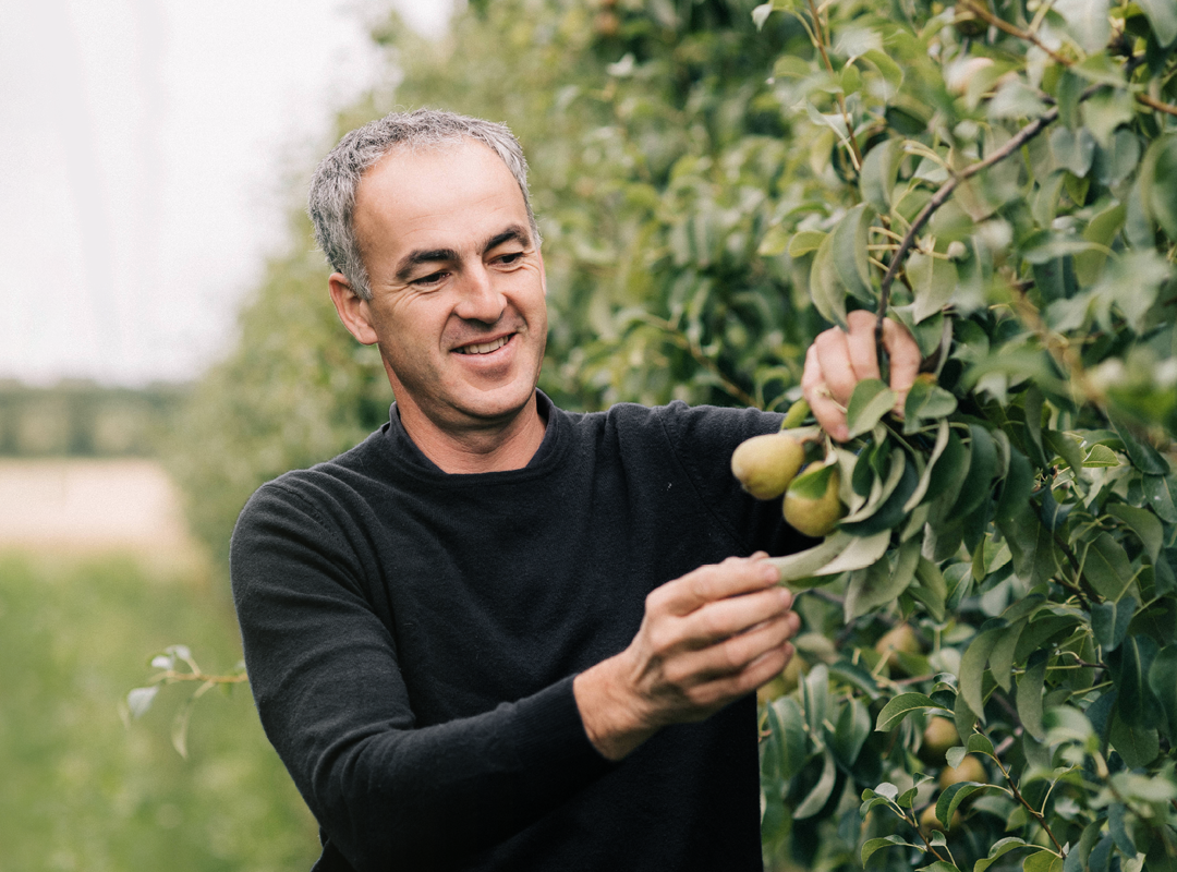 Sylvain, fruiticulteur de poires Angys®